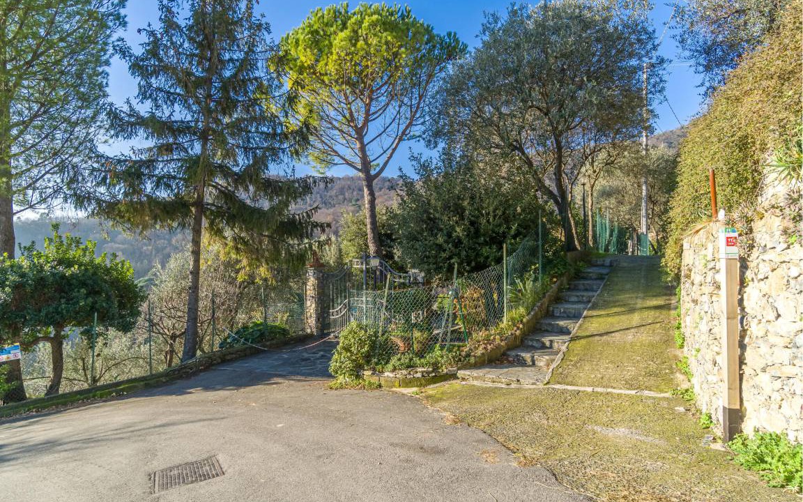Photo of Others in Recco