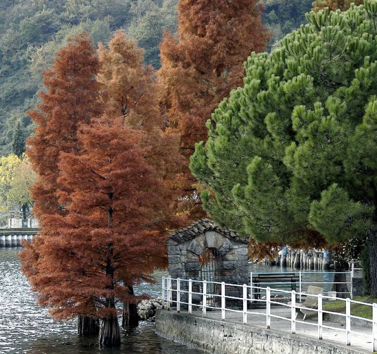 Photo of Others in Zorzino