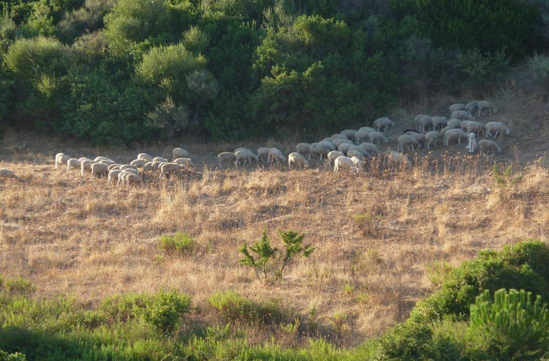 Photo of Others in Santa Caterina