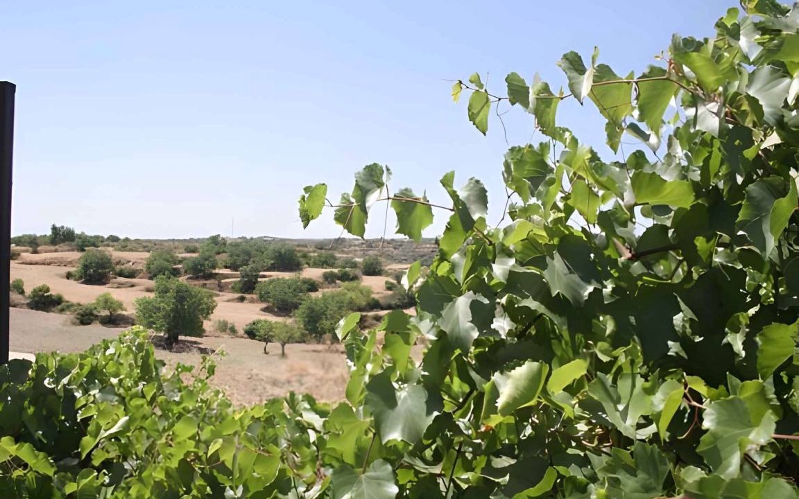 Photo of Outdoor in Casa Papa