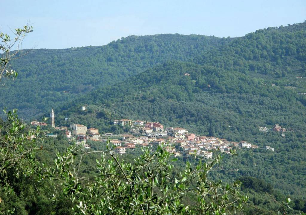 Photo of Others in Vasia