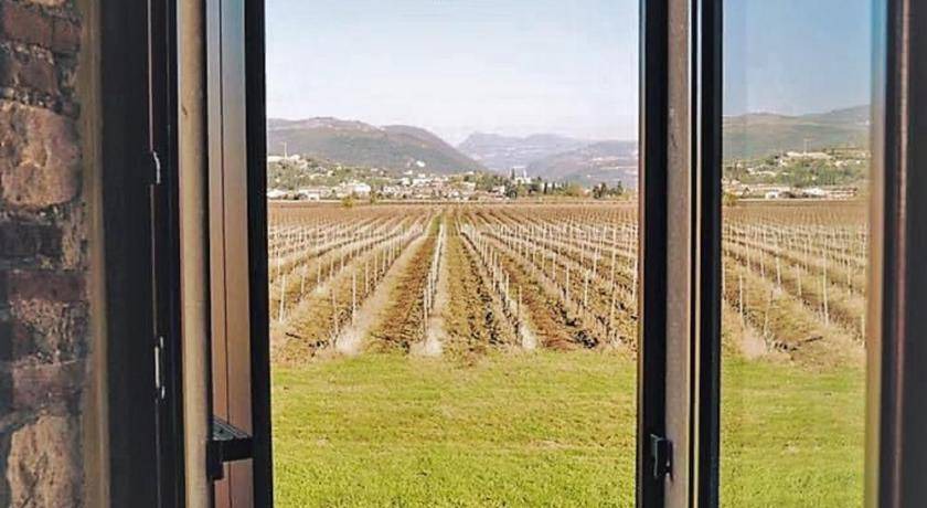 Photo of Others in Gargagnago di Valpolicella