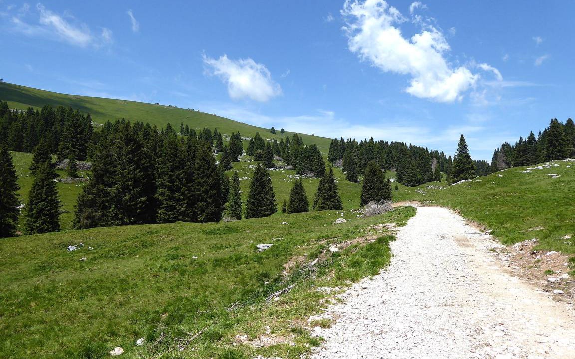 Photo of Others in Lozzo di Cadore