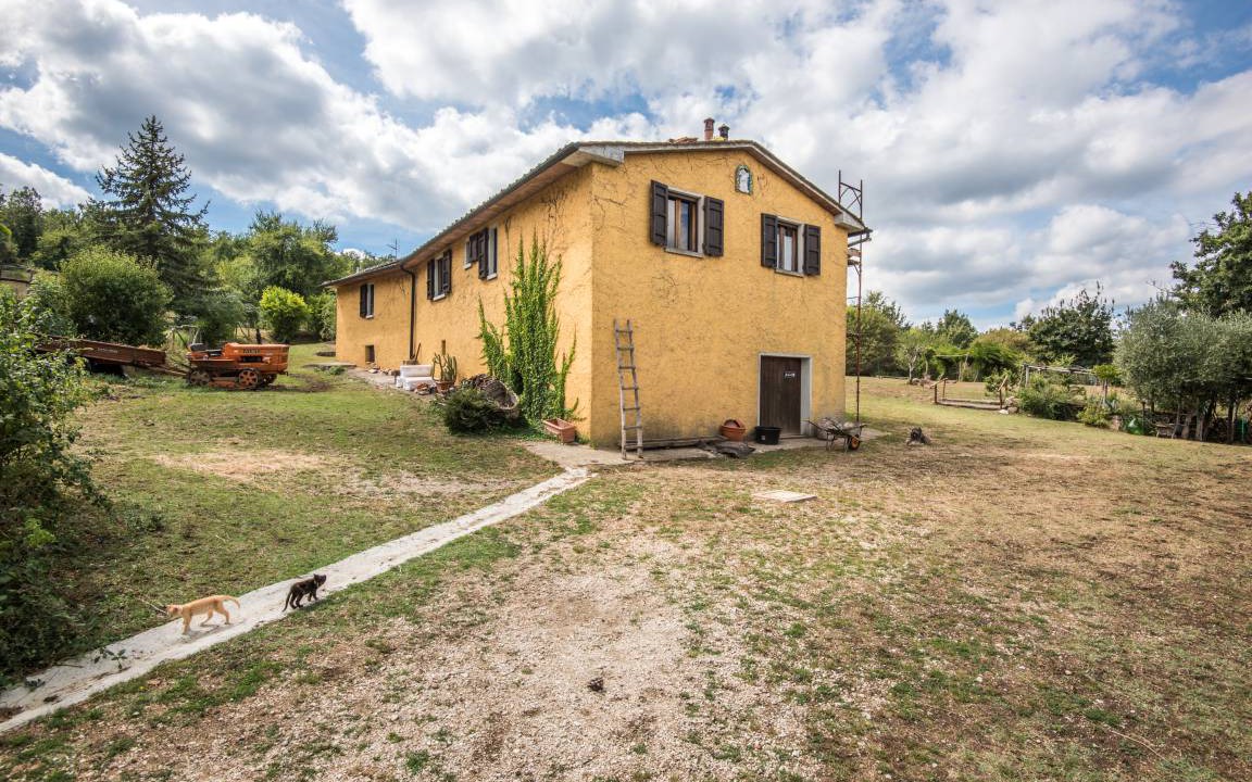 Photo of Others in Montieri