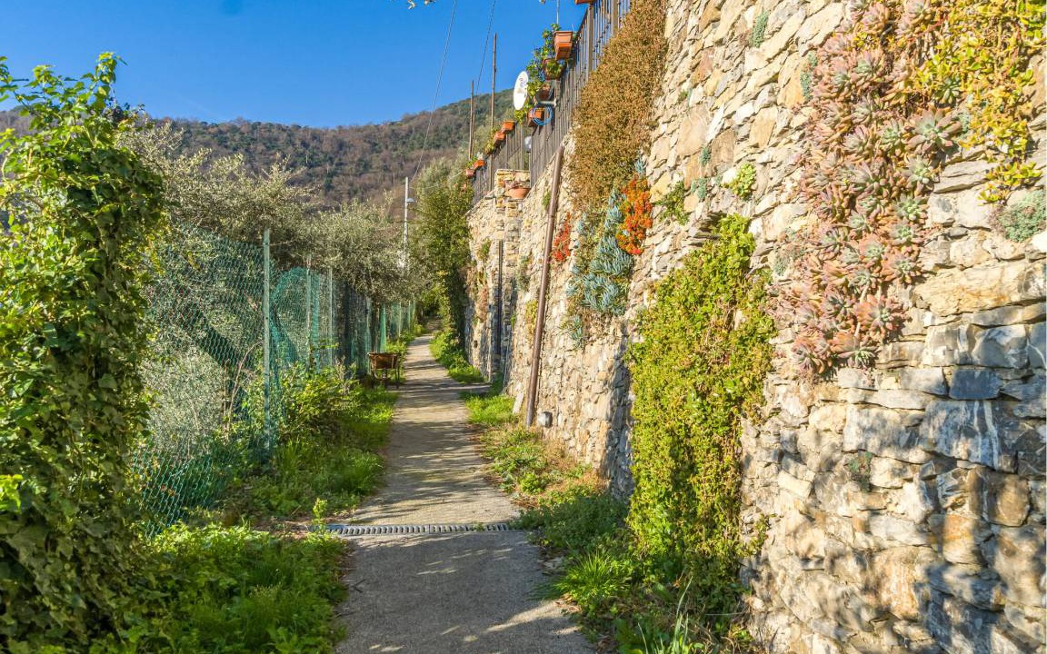 Photo of Others in Recco