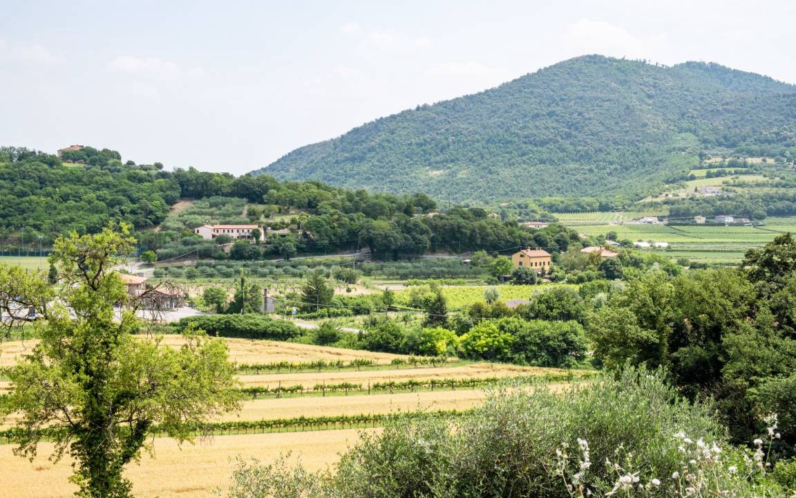 Photo of Others in Arqua Petrarca