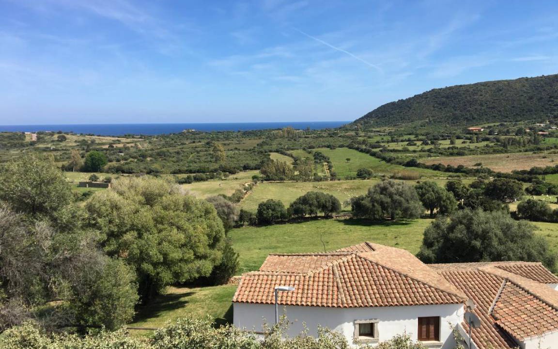 Photo of Others in Tanaunella