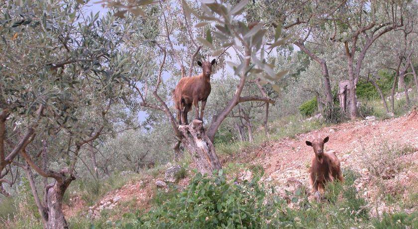 Photo of Others in San Brizio