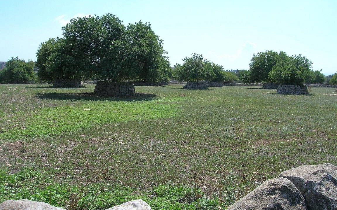 Photo of Others in Punta Secca
