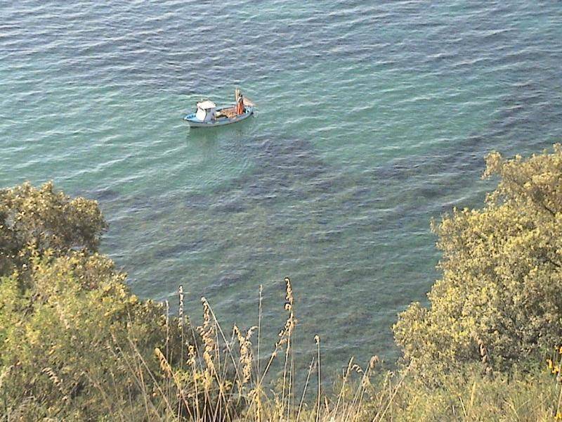 Photo of Others in Pollica