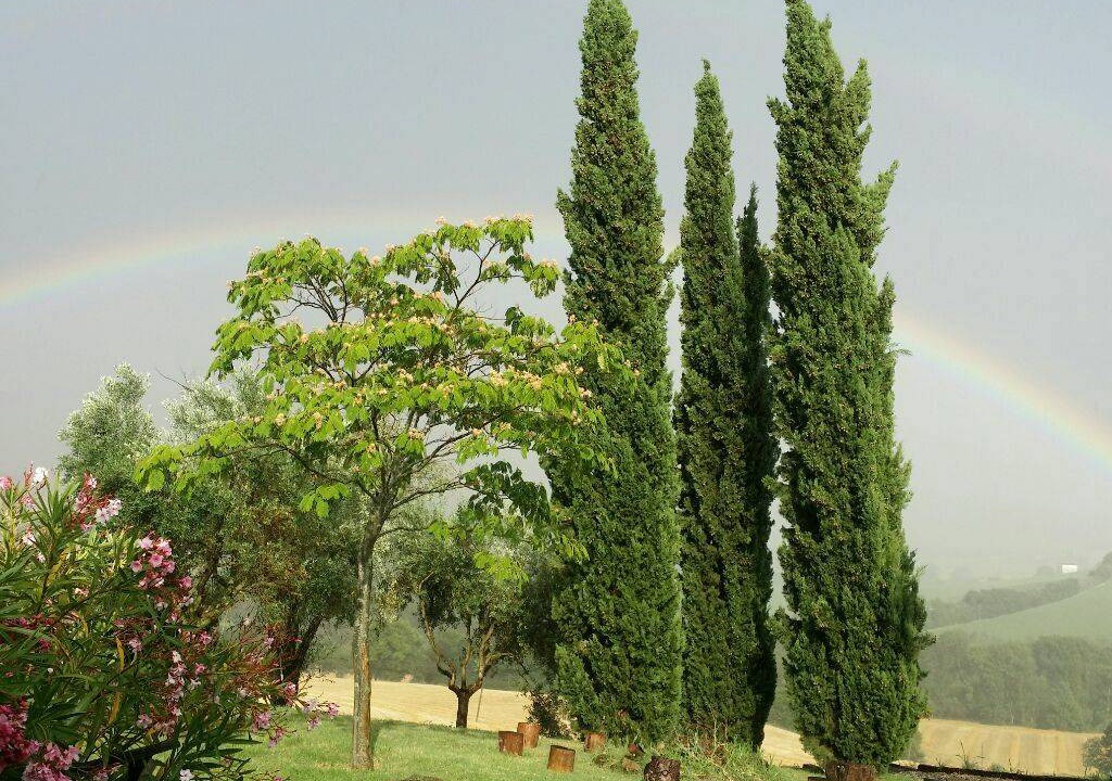Photo of Others in Montecarotto