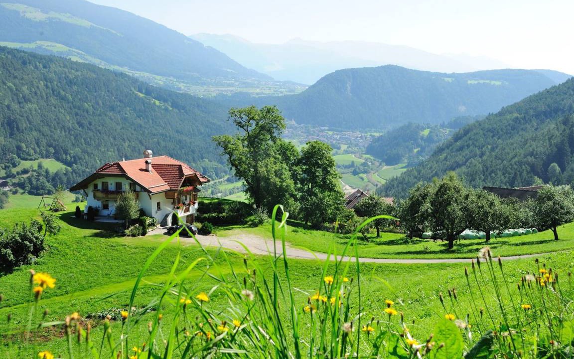 Photo of Others in Casteldarne
