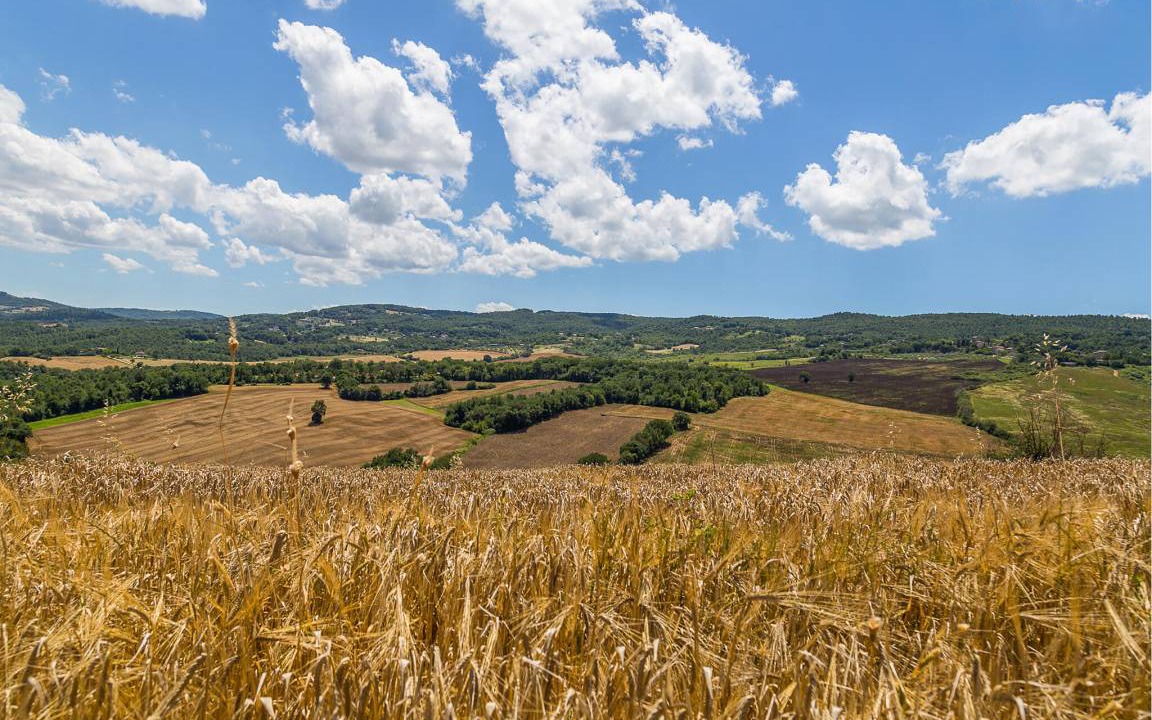 Photo of Outdoor in Acqua Loreto