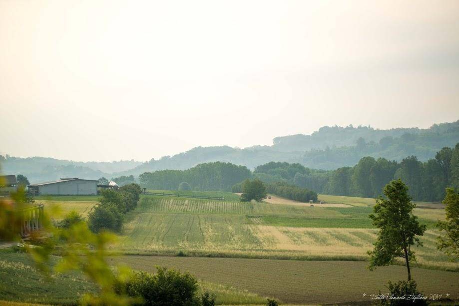 Photo of Others in Tigliole