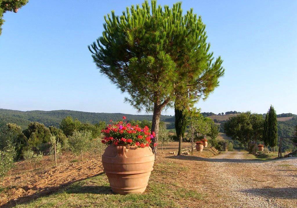 Photo of Others in Massa Marittima