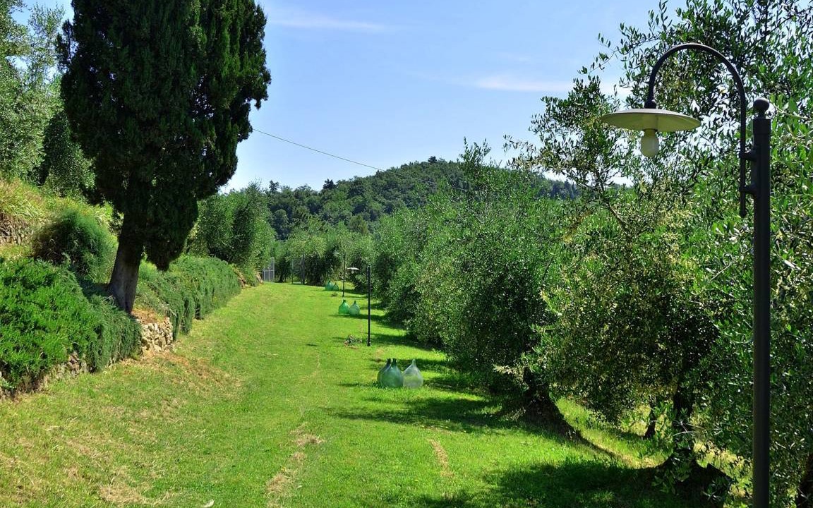 Photo of Outdoor in San Miniato