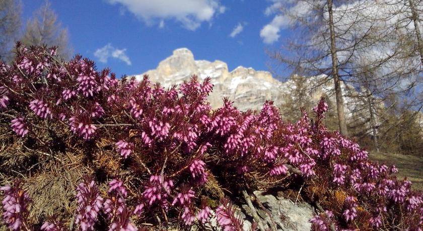 Photo of Others in San Cassiano