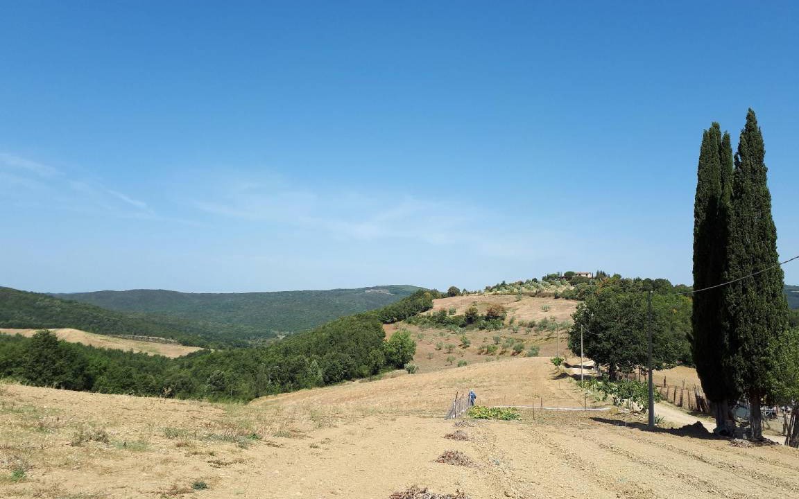 Photo of Others in Massa Marittima