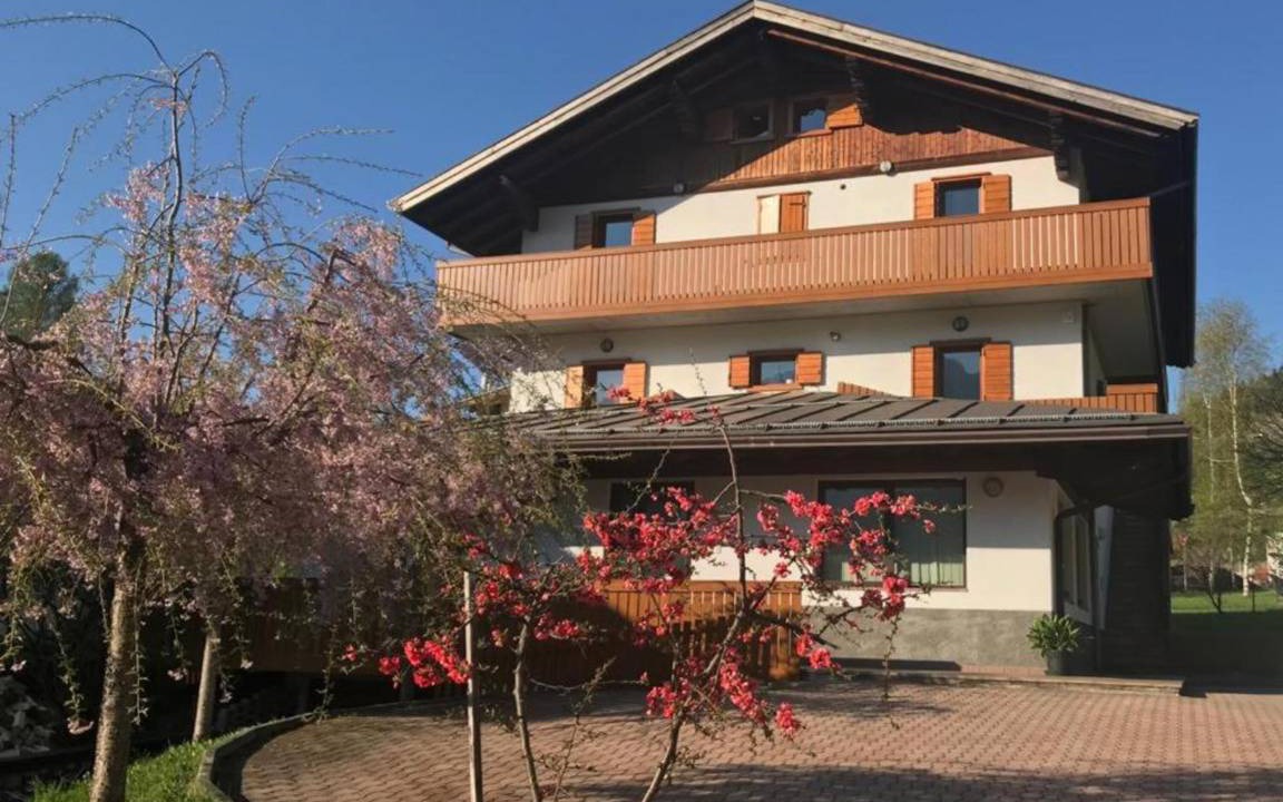 Photo of Others in Lozzo di Cadore