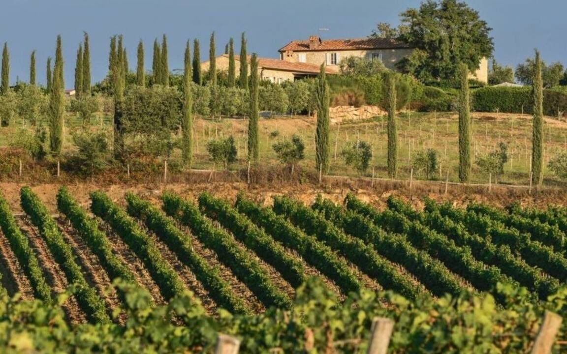 Photo of Others in Magliano in Toscana