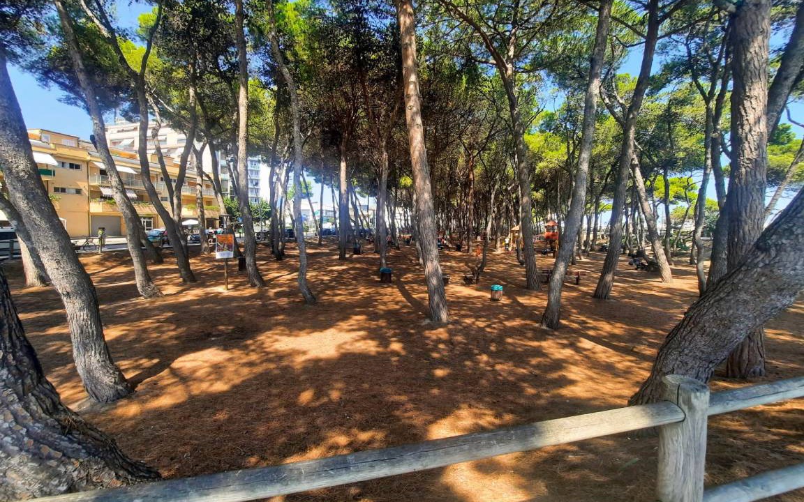 Photo of Others in Alba Adriatica