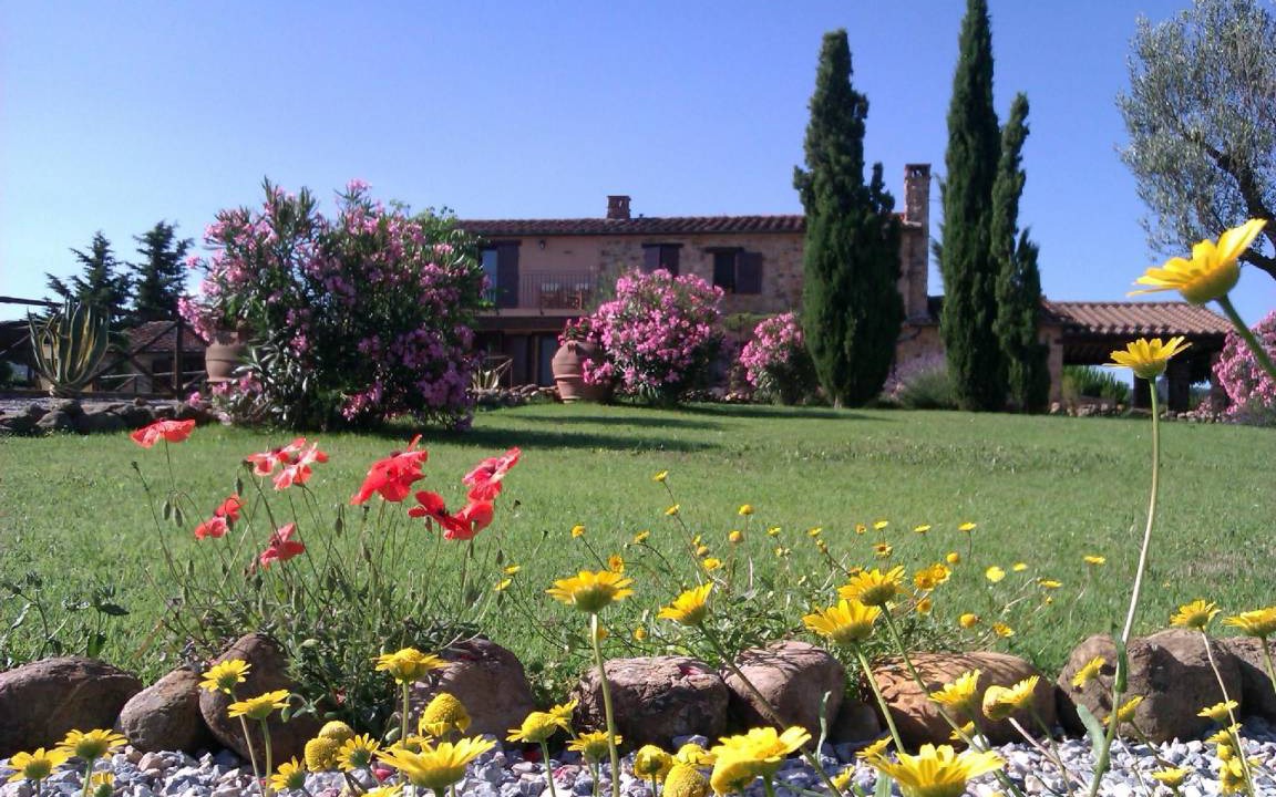 Photo of Others in Massa Marittima