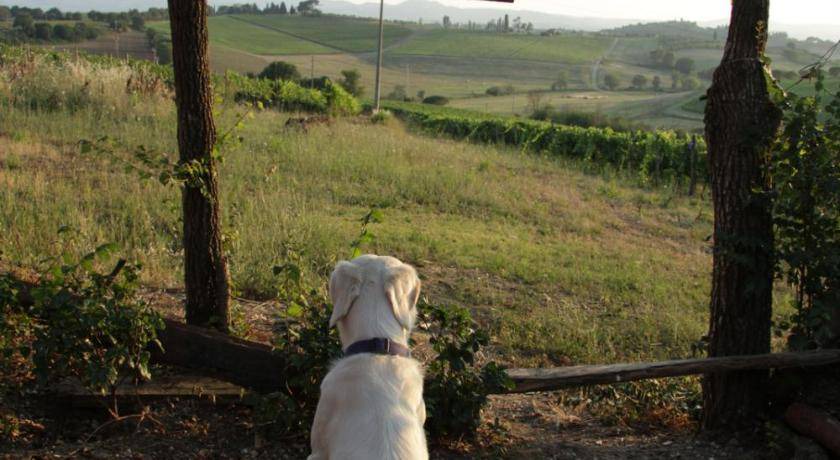 Photo of Others in Ferretto