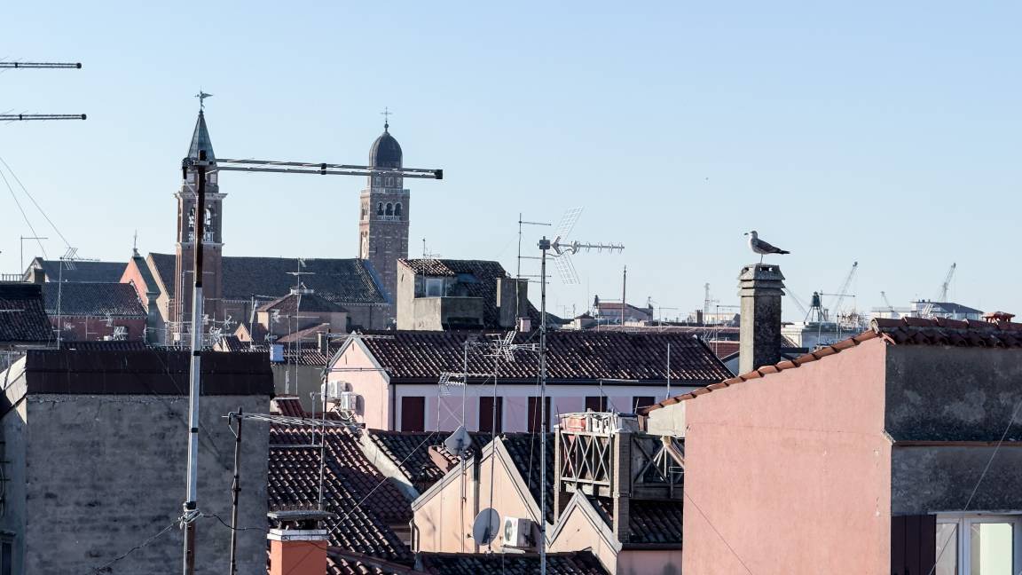Photo of Others in Chioggia