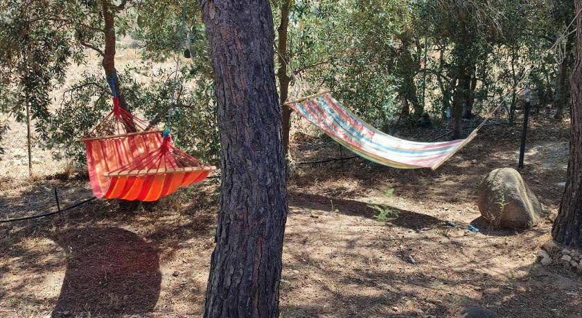 Photo of Outdoor in Villaggio delle Mimose