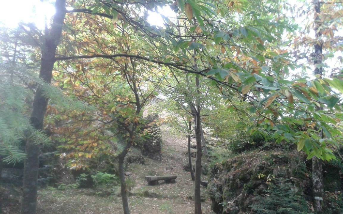 Photo of Outdoor in Borzonasca