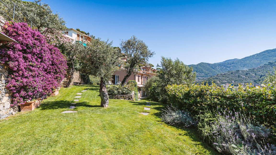 Photo of Others in Recco