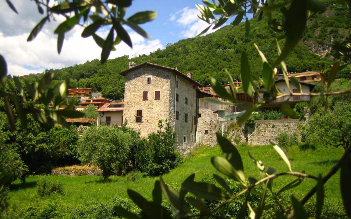 Photo of Others in Zorzino