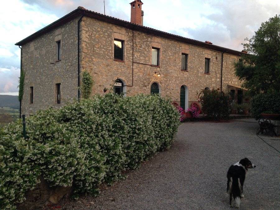 Photo of Others in Monterotondo Marittimo