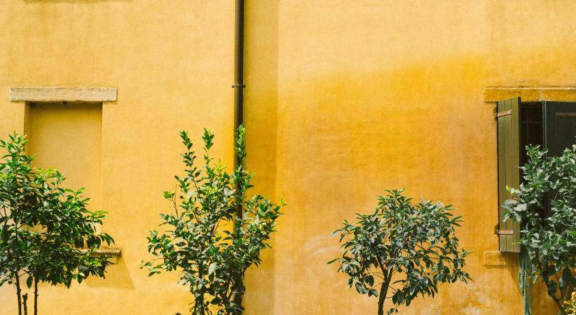 Photo of Others in Megliadino San Fidenzio