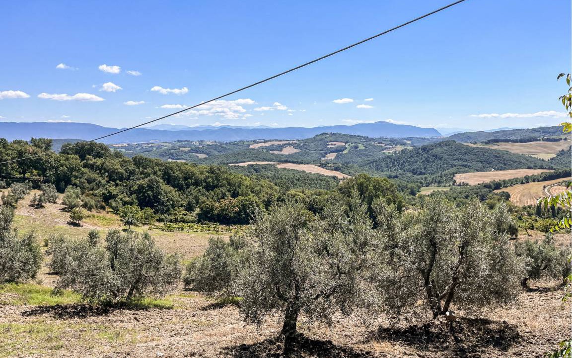 Photo of Outdoor in Acqua Loreto