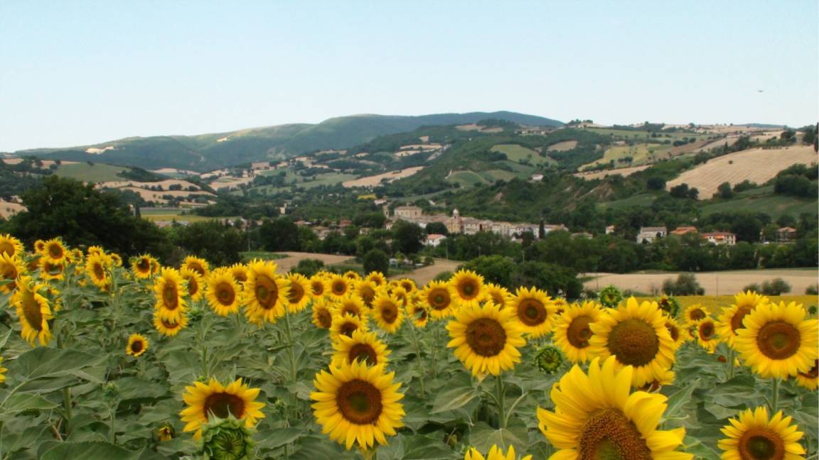 Photo of Others in Fossombrone