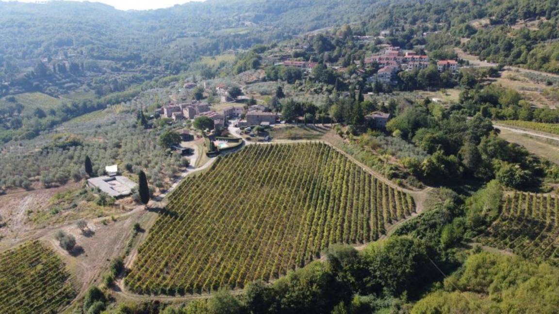 Photo of Others in Lucolena