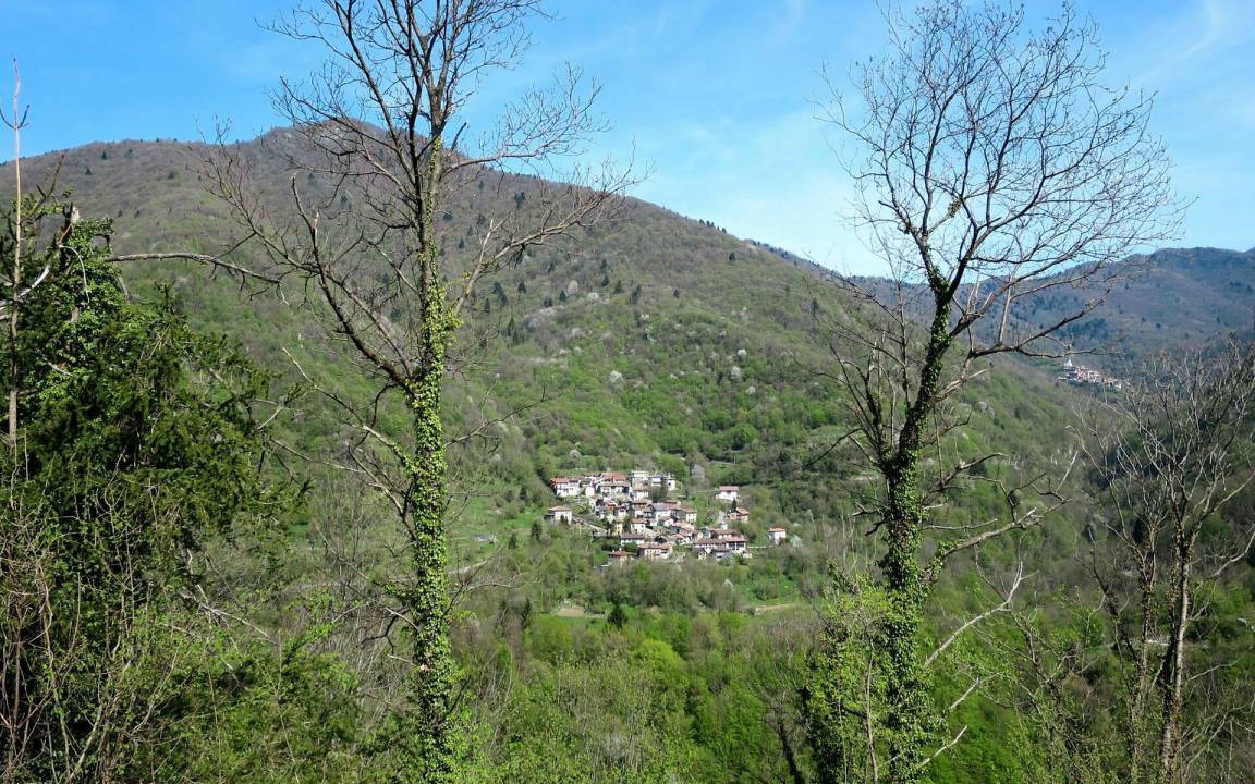 Photo of Others in Grimacco