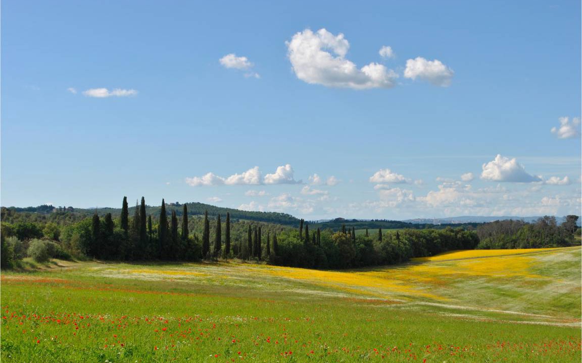 Photo of Others in Siena