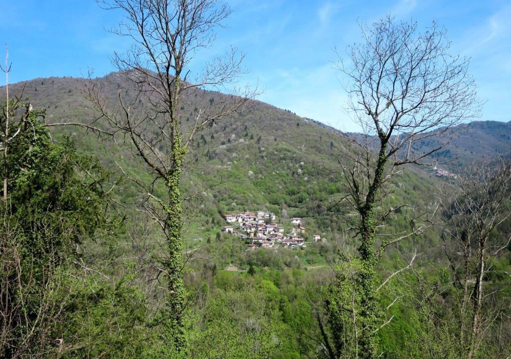 Photo of Others in Grimacco