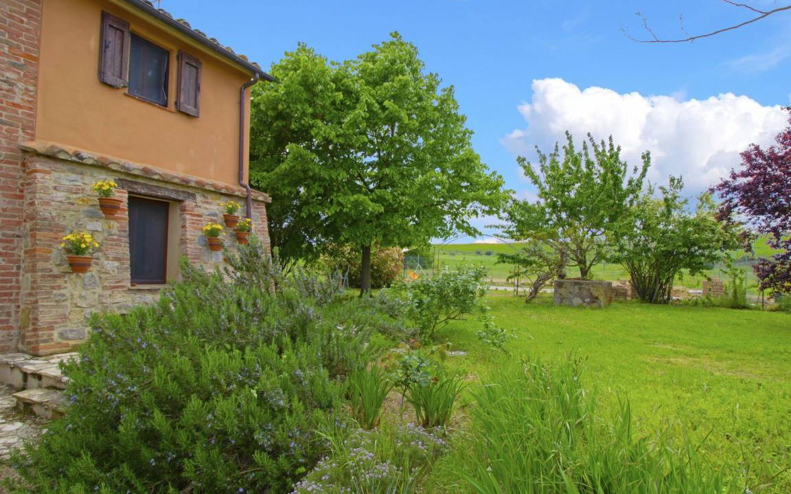 Photo of Others in Castiglione del Lago