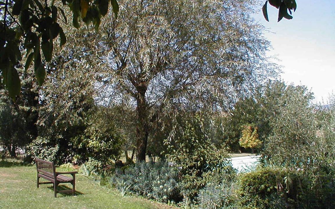 Photo of Others in Marciano della Chiana
