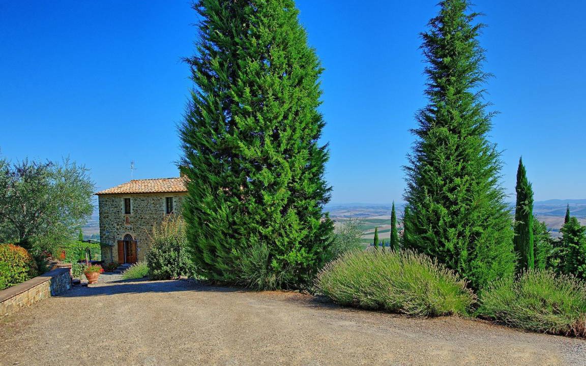 Photo of Others in Montalcino