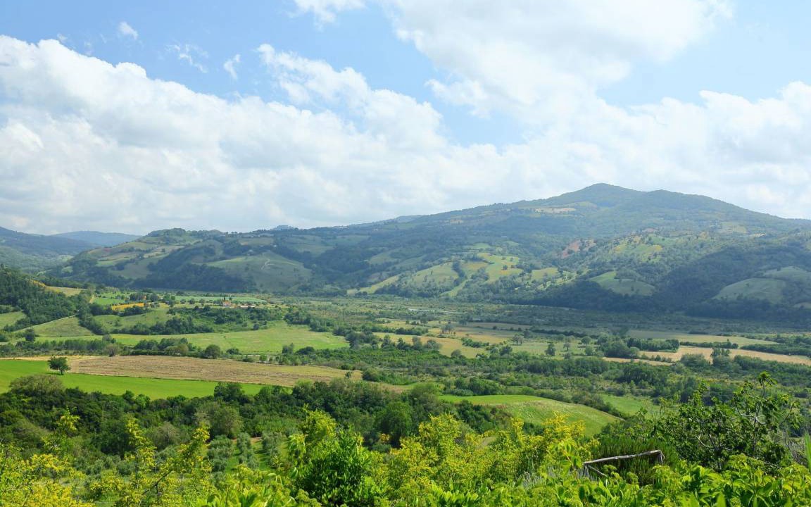 Photo of Others in Scansano