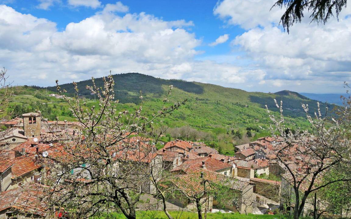 Photo of Others in Montieri