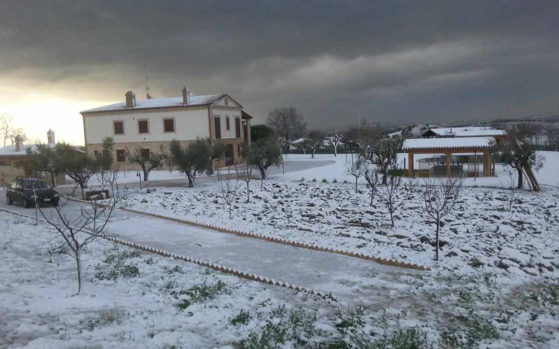 Photo of Others in Mosciano Sant'Angelo