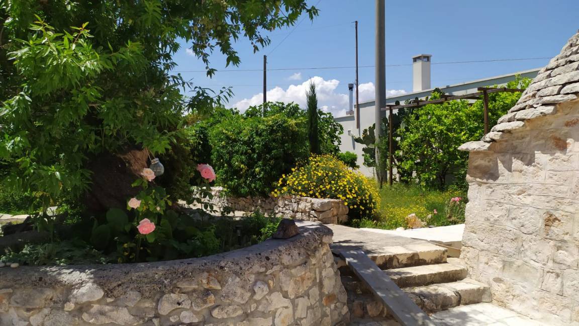 Photo of Others in Ostuni