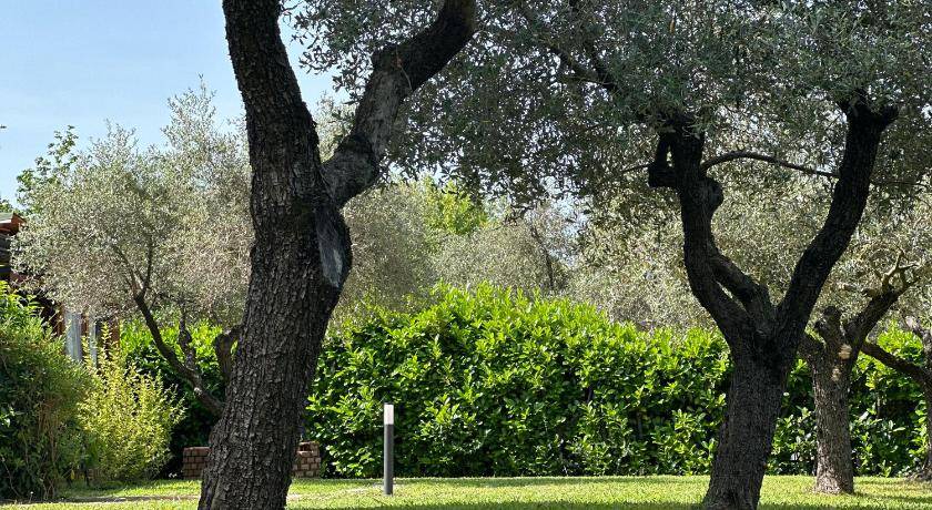 Photo of Others in Borghetto-melara