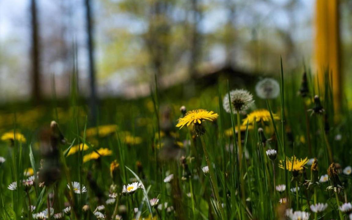 Photo of Outdoor in Sillano Giuncugnano