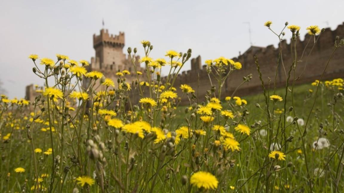 Photo of Others in Montagnana
